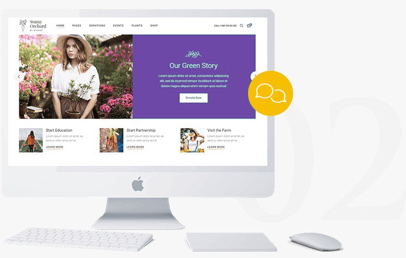 Website Design Services